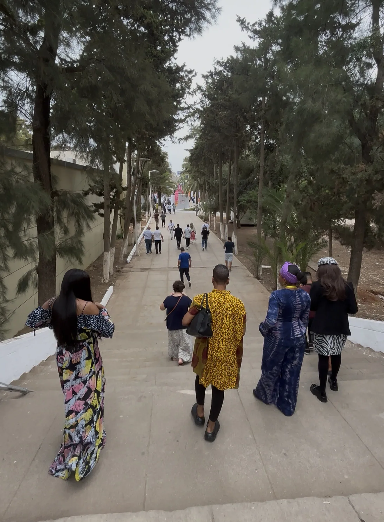 Members walking a tree-lined avenue